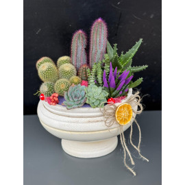 ÖZEL CANLI TERARYUM